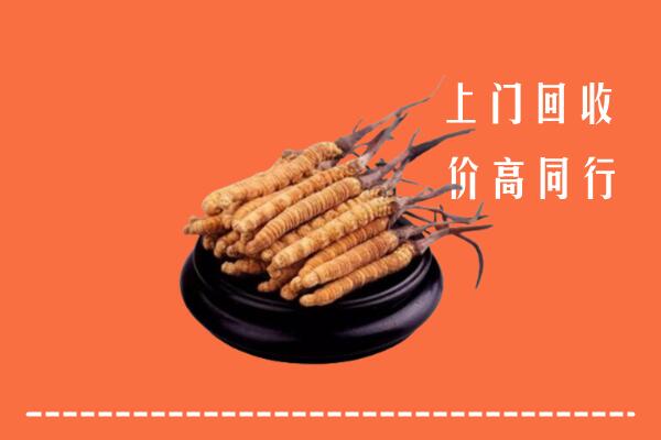 高价求购：东港市回收散虫草