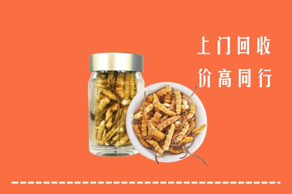 东港市回收冬虫夏草