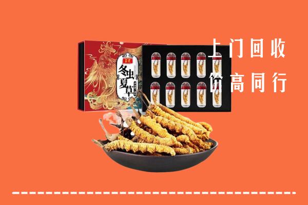 东港市回收虫草